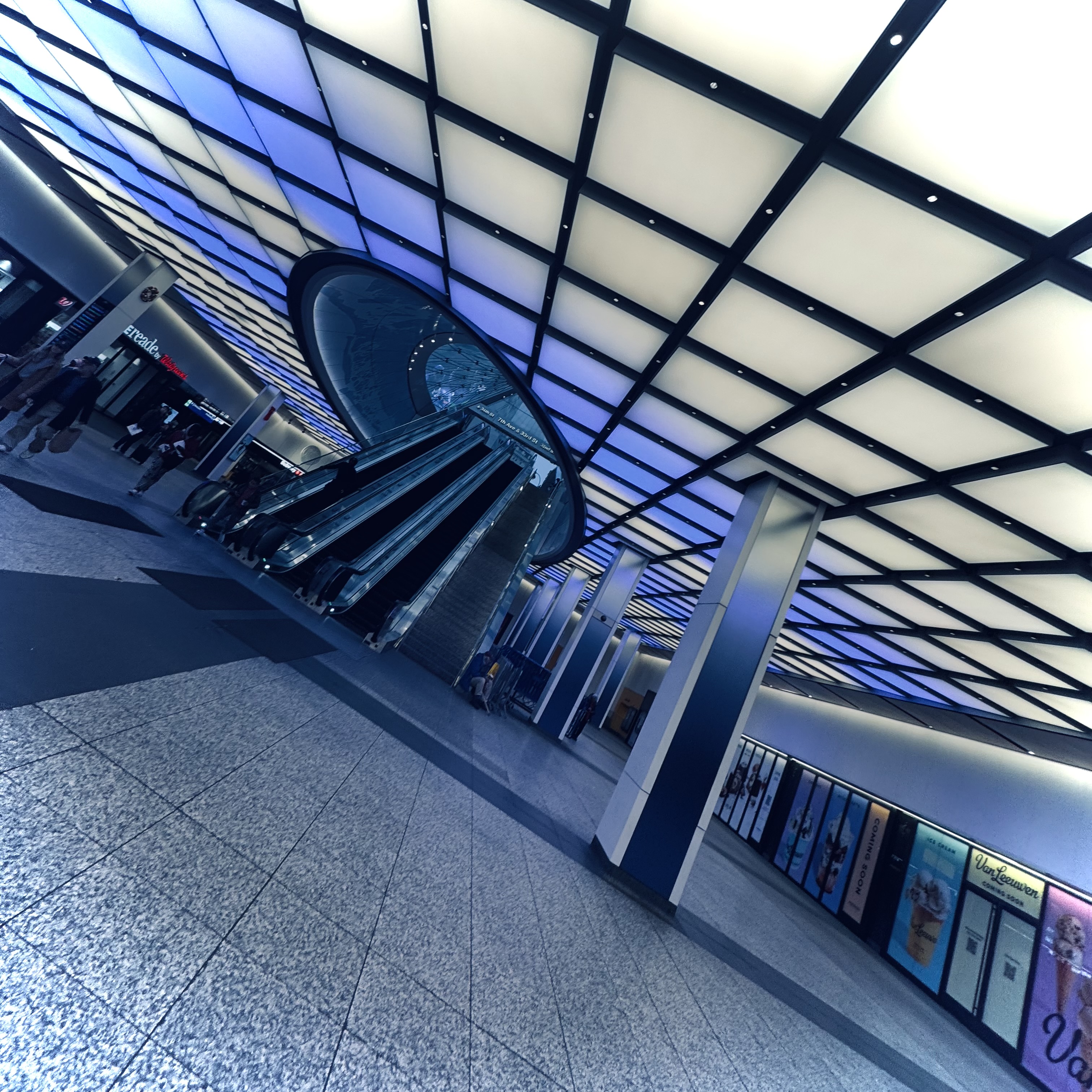 blu squid 12.29.24.jpg